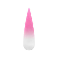 Air Ombre Spray Powder Nails - Pink Colors - AO002