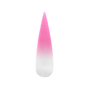Air Ombre Spray Powder Nails - Pink Colors - AO002