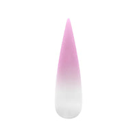 Air Ombre Spray Powder Nails - Purple Violet Colors - AO006