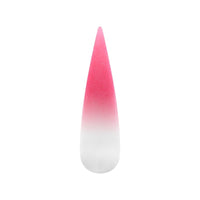 Air Ombre Spray Powder Nails - Pink Colors - AO101