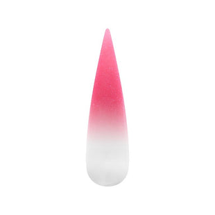 Air Ombre Spray Powder Nails - Pink Colors - AO101
