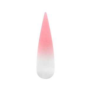 Air Ombre Spray Powder Nails -Pink Colors - AO024