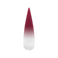 Air Ombre Spray Powder Nails -Wine Maroon Burgundy Colors - AO046