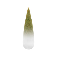 Air Ombre Spray Powder Nails -Green Colors - AO056