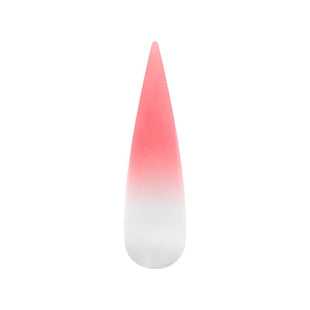 Air Ombre Spray Powder Nails - Pink Colors - AO087
