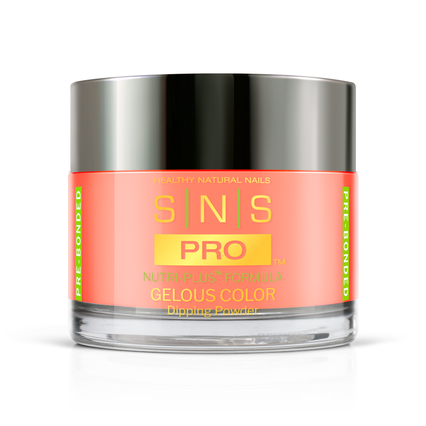 SNS Pro - Burgundy Book Collection - Dipping Powder - #041