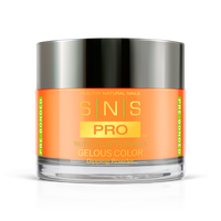 SNS Pro - Burgundy Book Collection - Dipping Powder - #111