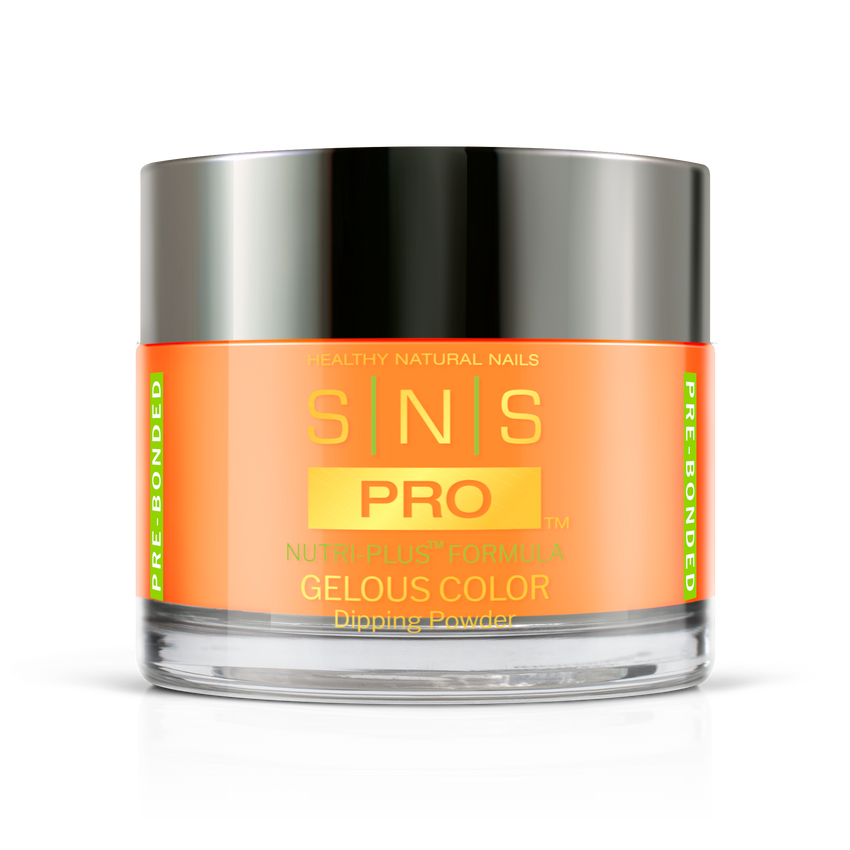 SNS Pro - Burgundy Book Collection - Dipping Powder - #111