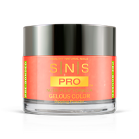 SNS Pro - Beige Book Collection - Dipping Powder - #091