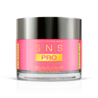 SNS Pro - Burgundy Book Collection - Dipping Powder - #024