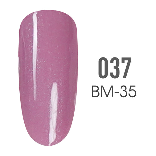 SNS Pro - Burgundy Book Collection - #037