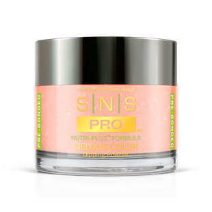 SNS Pro - Burgundy Book Collection - Dipping Powder - #074