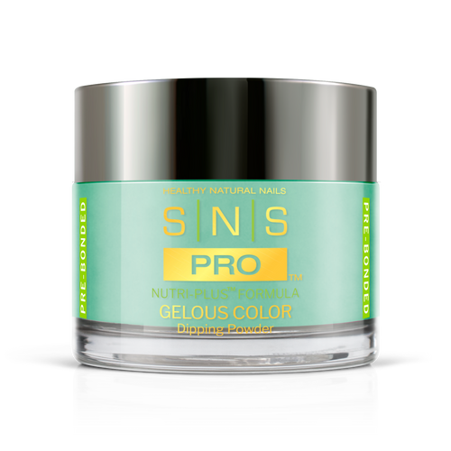 SNS Pro - Burgundy Book Collection - Dipping Powder - #108