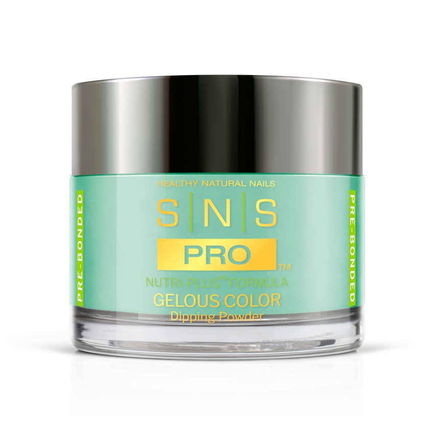 SNS Pro - Burgundy Book Collection - Dipping Powder - #108