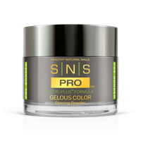 SNS Pro - Burgundy Book Collection - Dipping Powder - #054