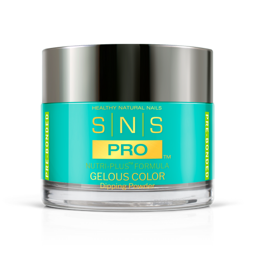 SNS Pro - Burgundy Book Collection - Dipping Powder - #101