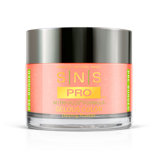 SNS Pro - Burgundy Book Collection - Dipping Powder - #089