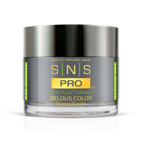 SNS Pro - Burgundy Book Collection - Dipping Powder - #055