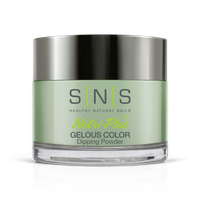 SNS Pro - Blue Book Collection - Dip/Acrylic Powder - #029