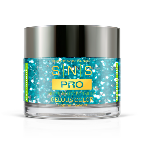 SNS Pro - Burgundy Book Collection - Dipping Powder - #070
