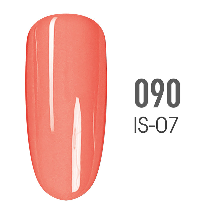 SNS Pro - Burgundy Book Collection - #090