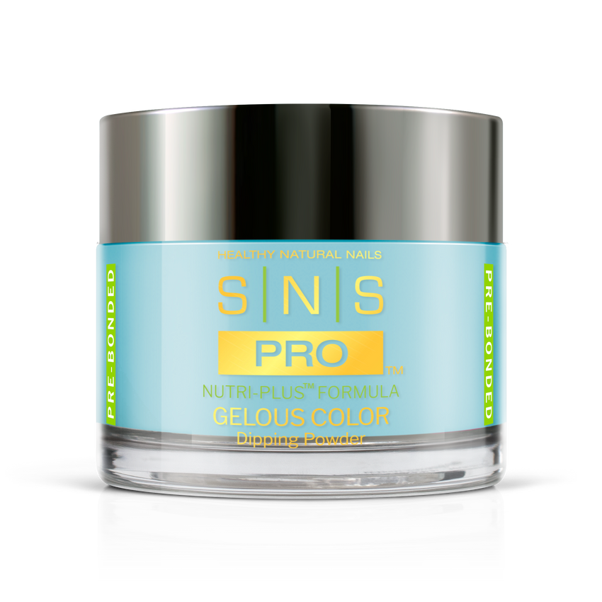 SNS Pro - Burgundy Book Collection - Dipping Powder - #097