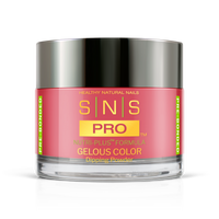 SNS Pro - Burgundy Book Collection - Dipping Powder - #043