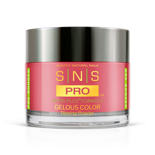SNS Pro - Burgundy Book Collection - Dipping Powder - #043