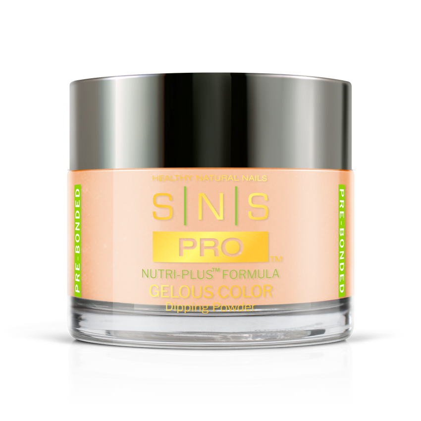 SNS Pro - Burgundy Book Collection - Dipping Powder - #005