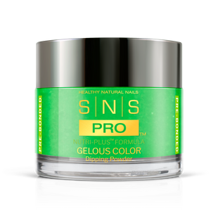 SNS Pro - Burgundy Book Collection - Dipping Powder - #021