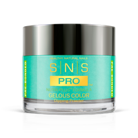 SNS Pro - Burgundy Book Collection - Dipping Powder - #028