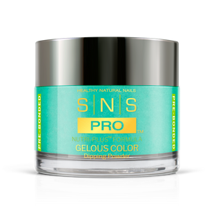SNS Pro - Burgundy Book Collection - Dipping Powder - #028