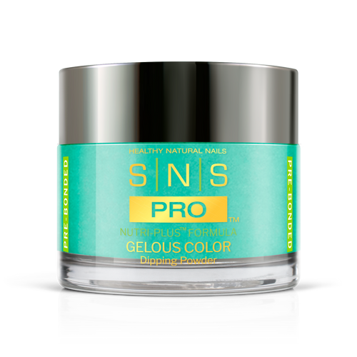 SNS Pro - Burgundy Book Collection - Dipping Powder - #028