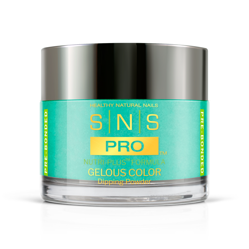 SNS Pro - Burgundy Book Collection - Dipping Powder - #028