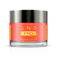 SNS Pro - Burgundy Book Collection - Dipping Powder - #112