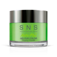 SNS Pro - Blue Book Collection - Dip/Acrylic Powder - #064