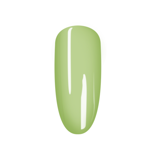 SNS Pro - Yellow Green Book Collection - #116