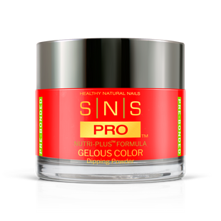 SNS Pro - Beige Book Collection - Dipping Powder - #040