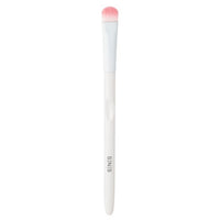 Dust Brush